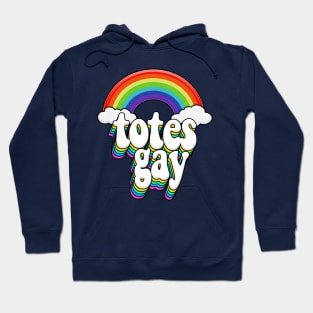 Totes Gay Rainbow Pride Design Hoodie